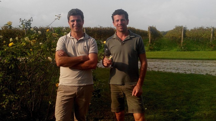 Il vino � prima di tutto un frutto della terra: #Intervistando Germano e Paolo Maman