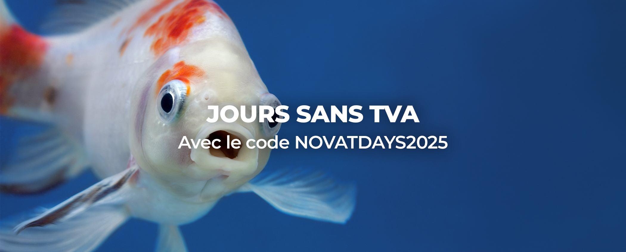 promo-non-tva