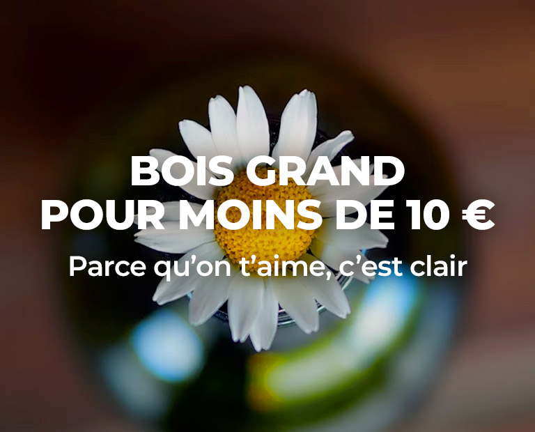 vinsmoins10